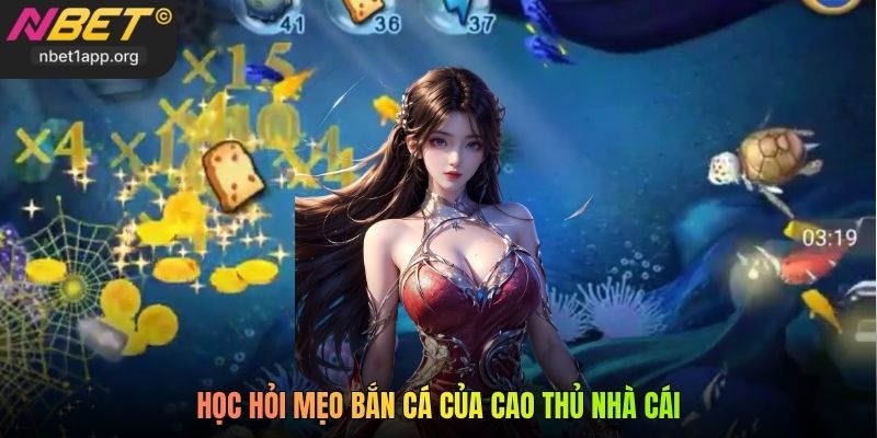 Học hỏi mẹo bắn cá của cao thủ nhà cái