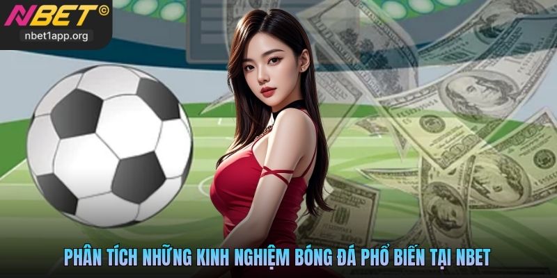 Phân tích những kinh nghiệm bóng đá phổ biến tại Nbet