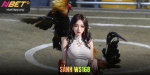 Sảnh WS168 Nbet - Trải Nghiệm Đá Gà Trực Tuyến Đỉnh Cao