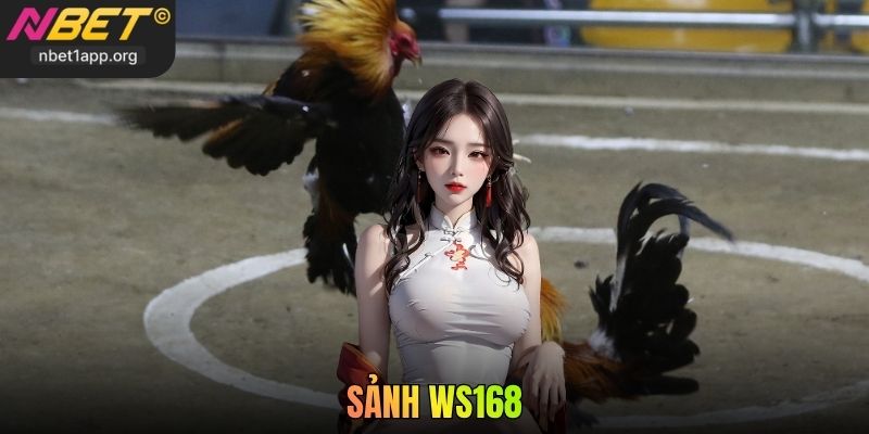 Sảnh WS168 Nbet - Trải Nghiệm Đá Gà Trực Tuyến Đỉnh Cao