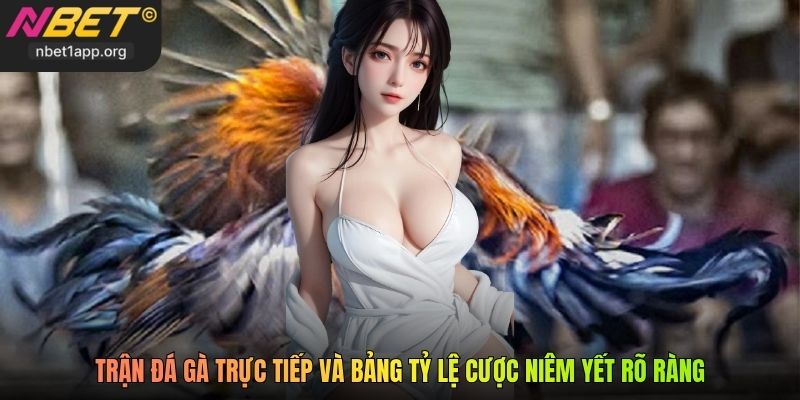 Trận đá gà trực tiếp và bảng tỷ lệ cược niêm yết rõ ràng